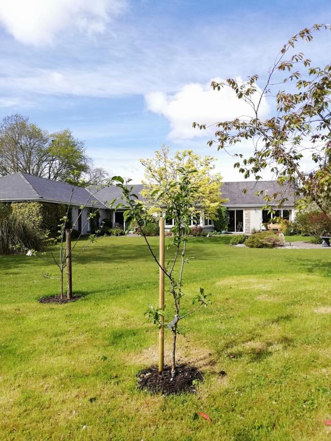 Bed and Breakfast Applecroft House Килларни Экстерьер фото