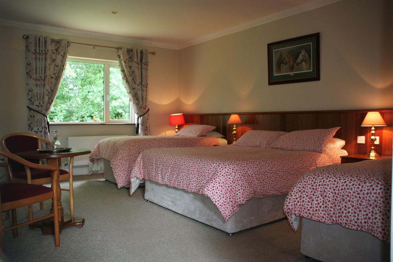 Bed and Breakfast Applecroft House Килларни Экстерьер фото